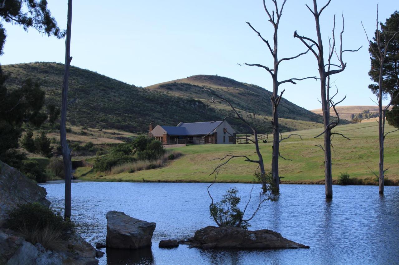 Wetlands Game Lodge Wakkerstroom Dış mekan fotoğraf