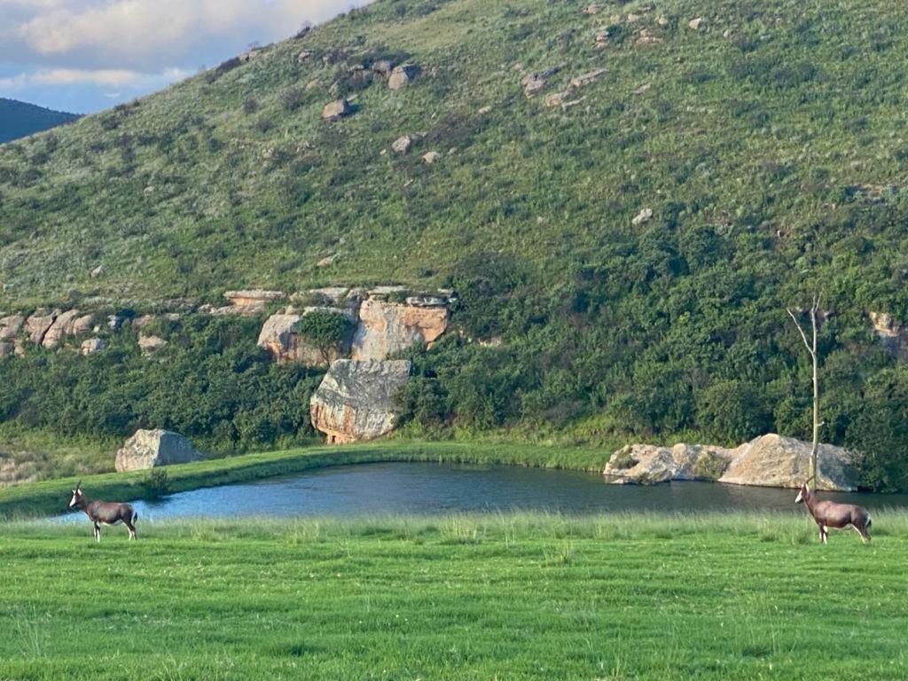 Wetlands Game Lodge Wakkerstroom Dış mekan fotoğraf