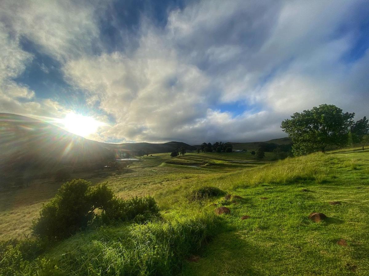 Wetlands Game Lodge Wakkerstroom Dış mekan fotoğraf