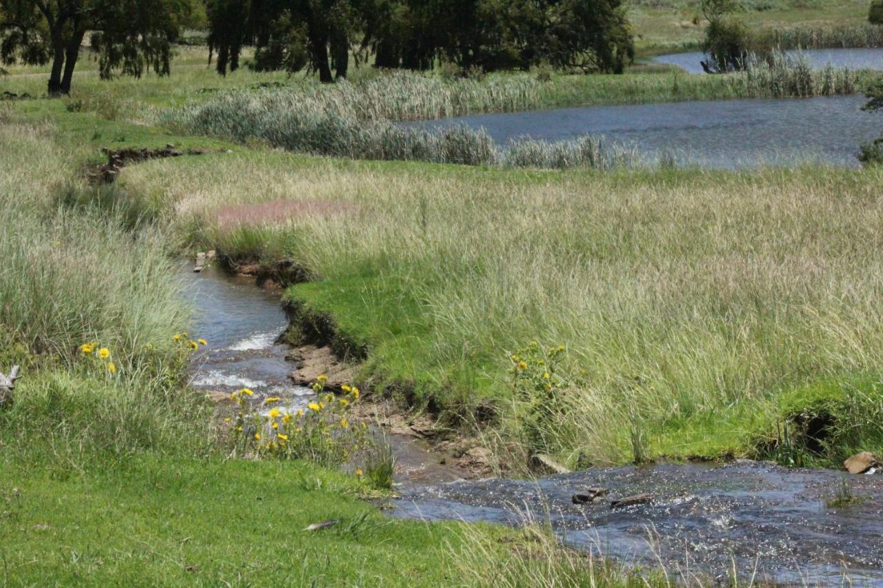 Wetlands Game Lodge Wakkerstroom Dış mekan fotoğraf
