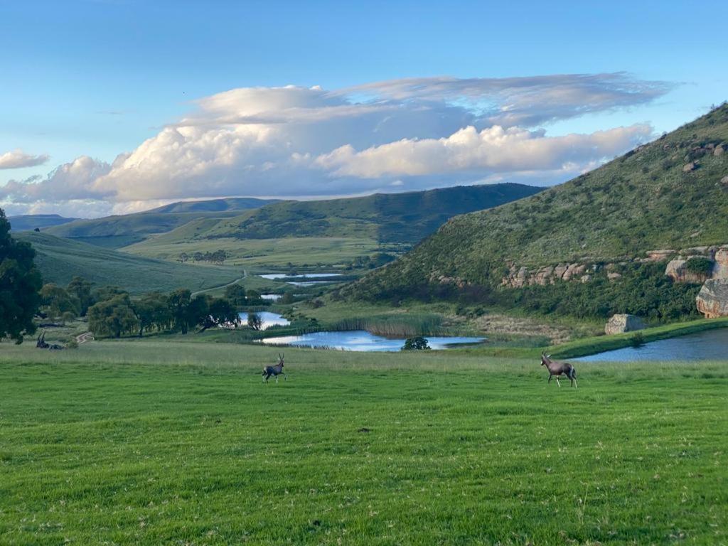 Wetlands Game Lodge Wakkerstroom Dış mekan fotoğraf