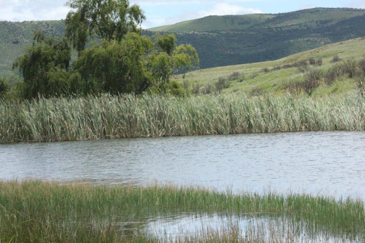 Wetlands Game Lodge Wakkerstroom Dış mekan fotoğraf