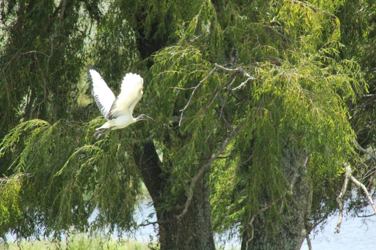 Wetlands Game Lodge Wakkerstroom Dış mekan fotoğraf