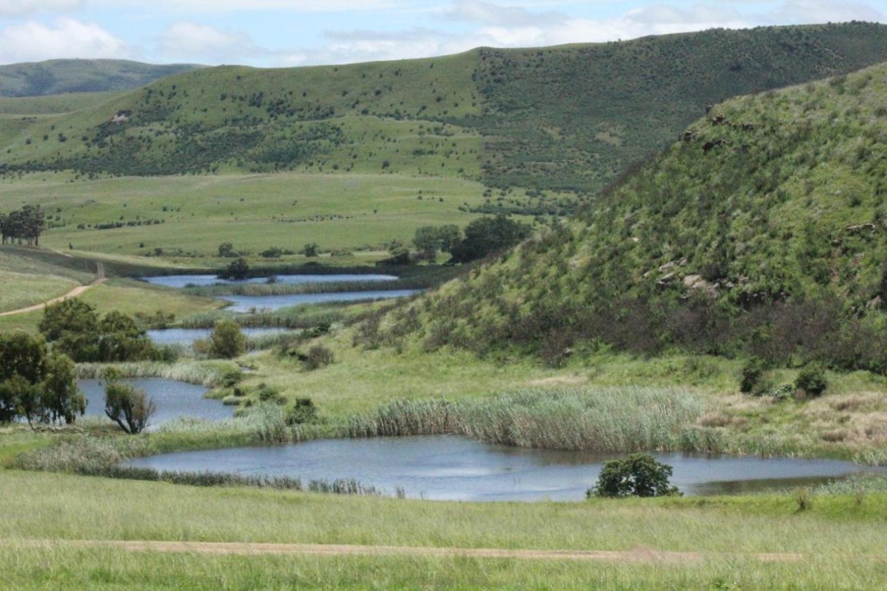 Wetlands Game Lodge Wakkerstroom Dış mekan fotoğraf